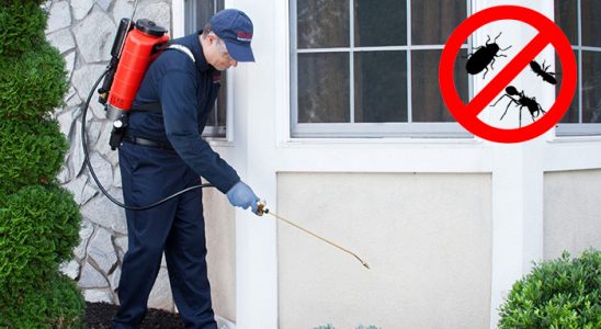 Çal Karınca İlaçlama böcek ilaçlama ve haşere kontrolü — ilaclama-tr.com